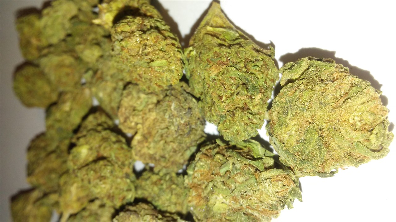 Thinking of trying the Sour Cookies Strain soon? Heres what you must know before you make a purchase!