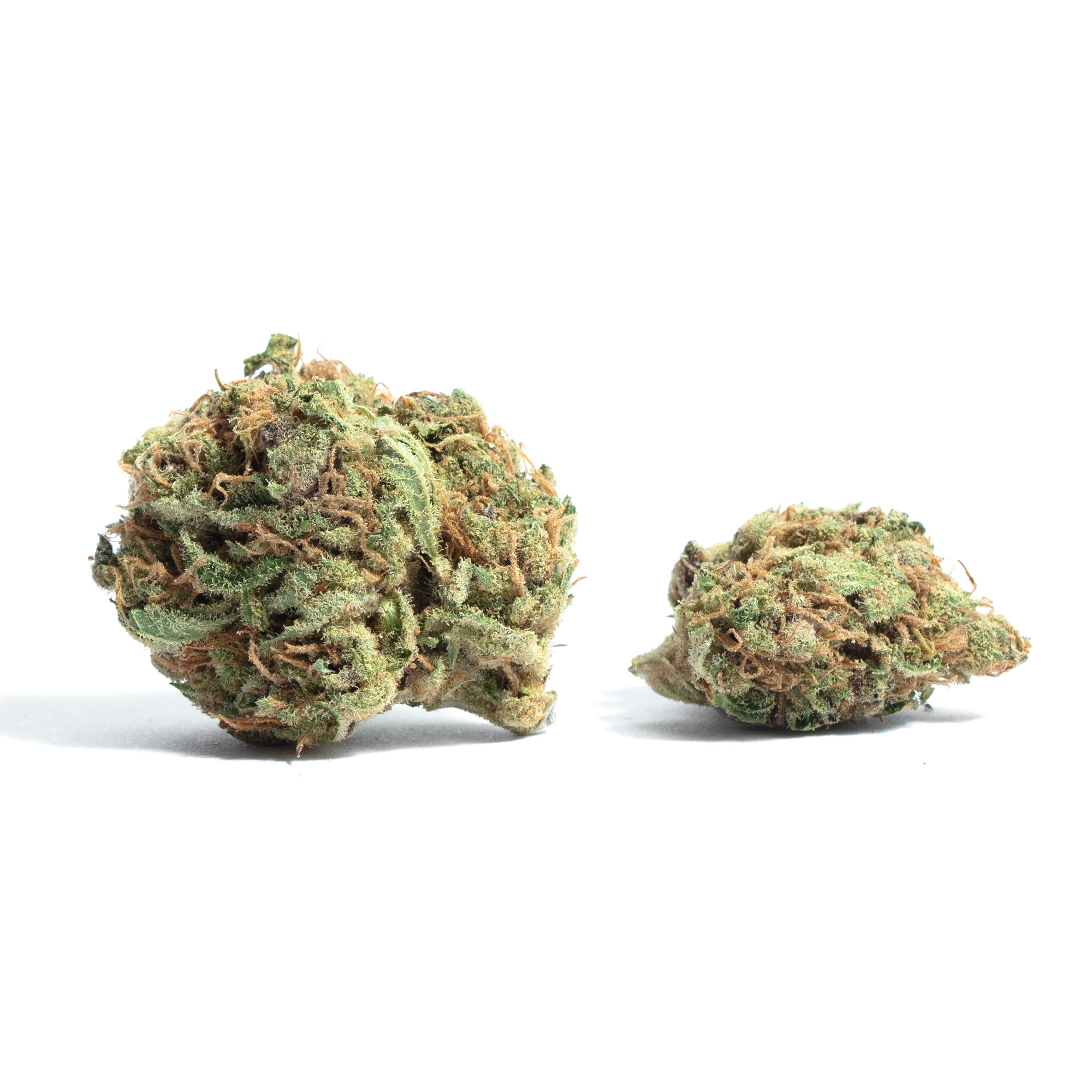 Thinking of trying the Sour Cookies Strain soon? Heres what you must know before you make a purchase!