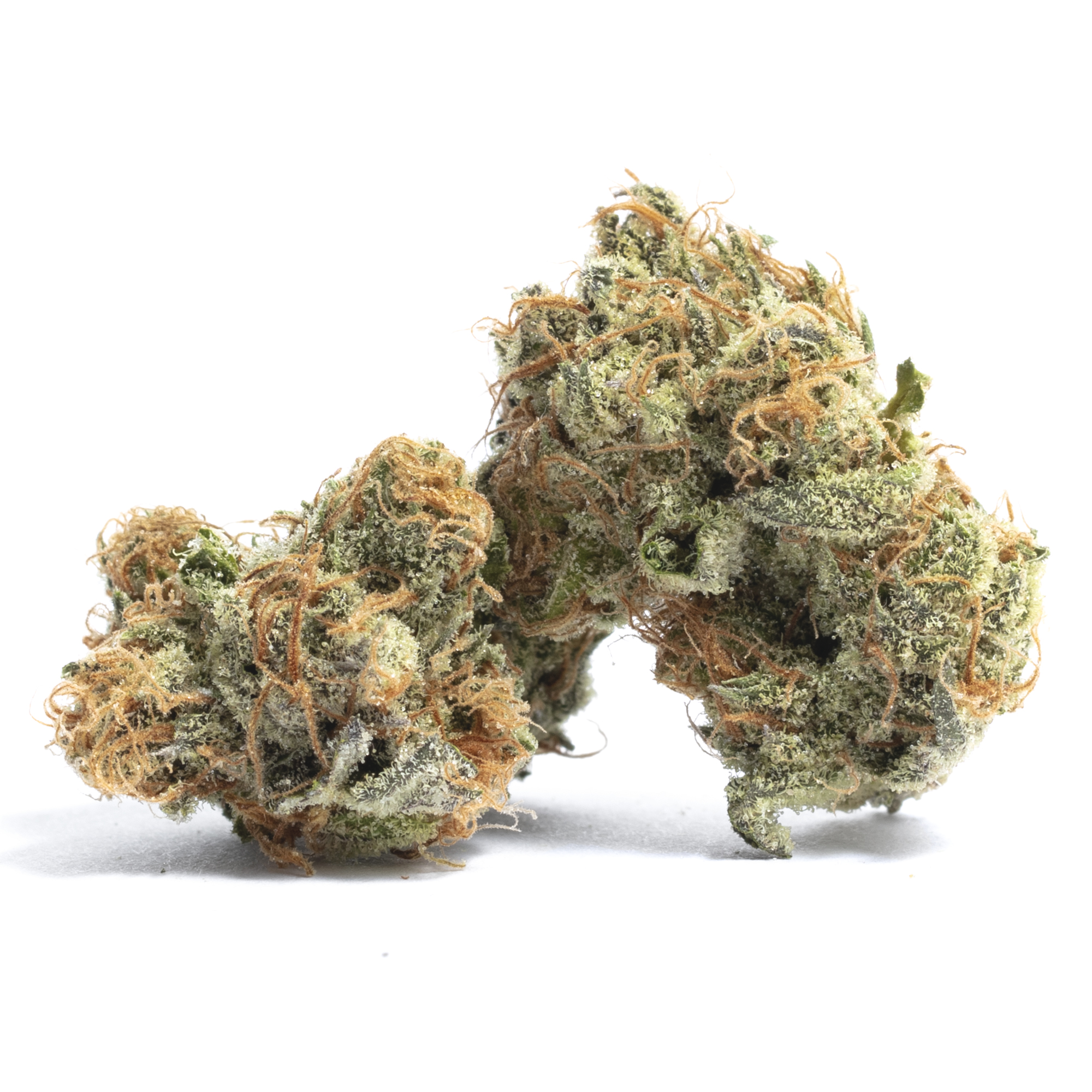 Peyote Cookies Strain Effects: Is it good for relaxation and sleep?