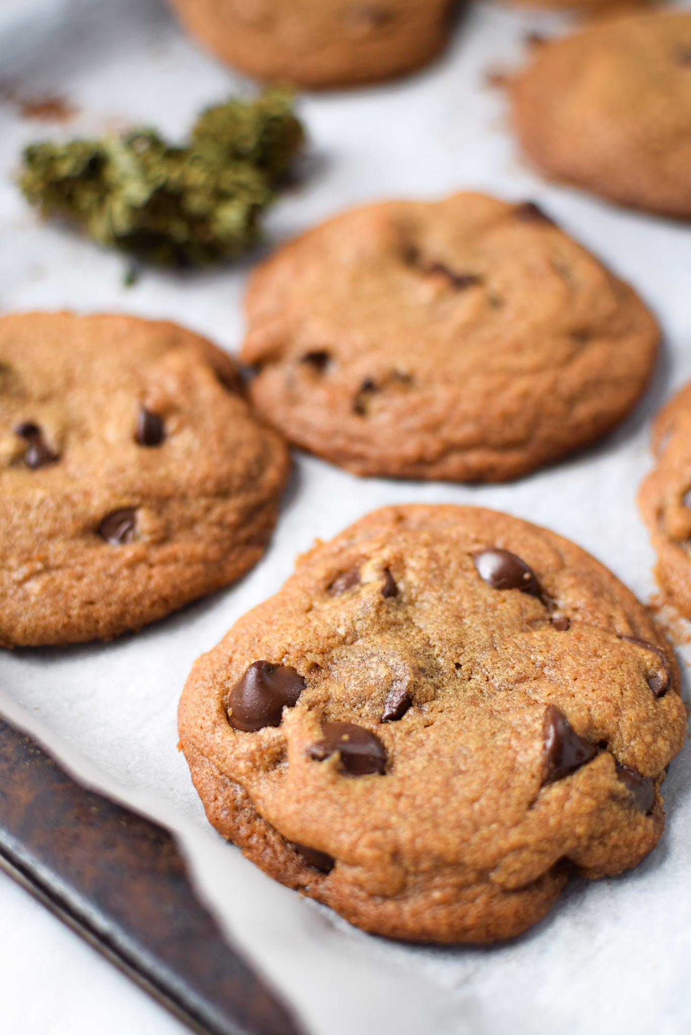 How do you bake the perfect bud cookie recipe? Learn this easy way now for delicious, strong cookies!