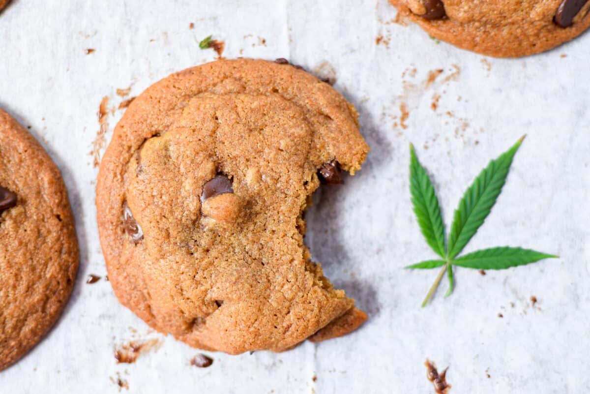 How do you bake the perfect bud cookie recipe? Learn this easy way now for delicious, strong cookies!