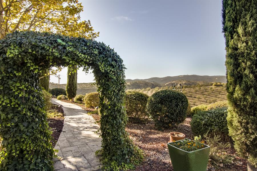 Why book a bed and breakfast paso robles ca? Enjoy unique stays and friendly local advice!