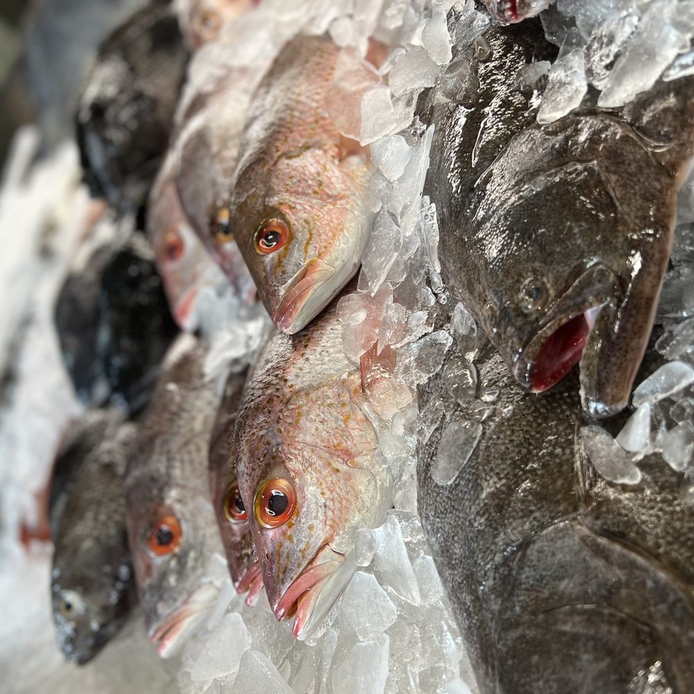 Best wilmington seafood market for fresh fish? Discover these spots for amazing ocean flavors now!
