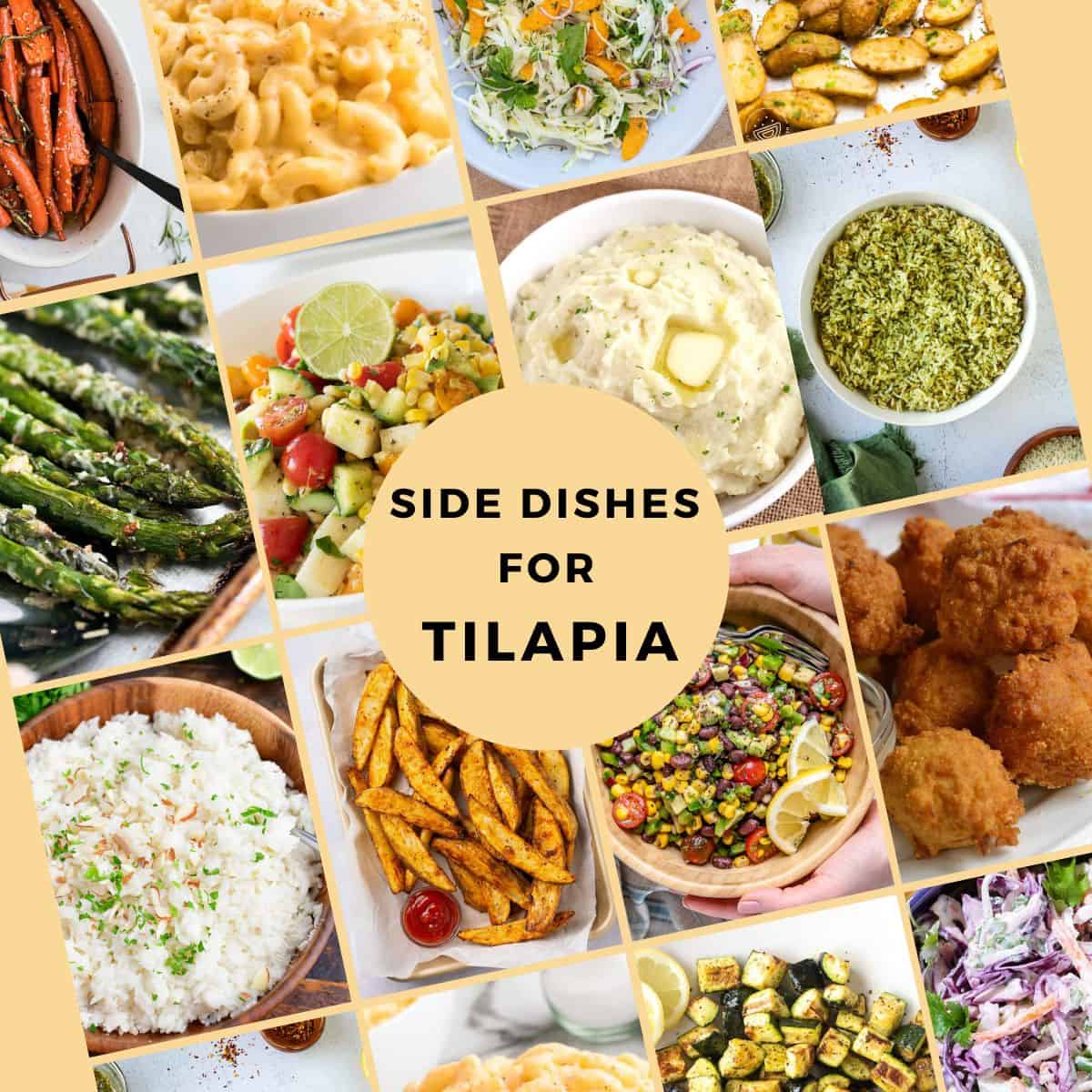 Looking for the perfect side dish for tilapia? (These recipes are definite winners!)