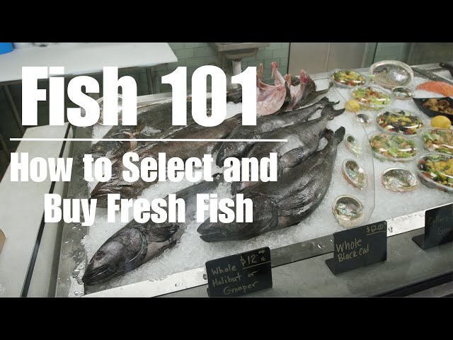 How to find Potomac seafood market best seafood buying guide inside
