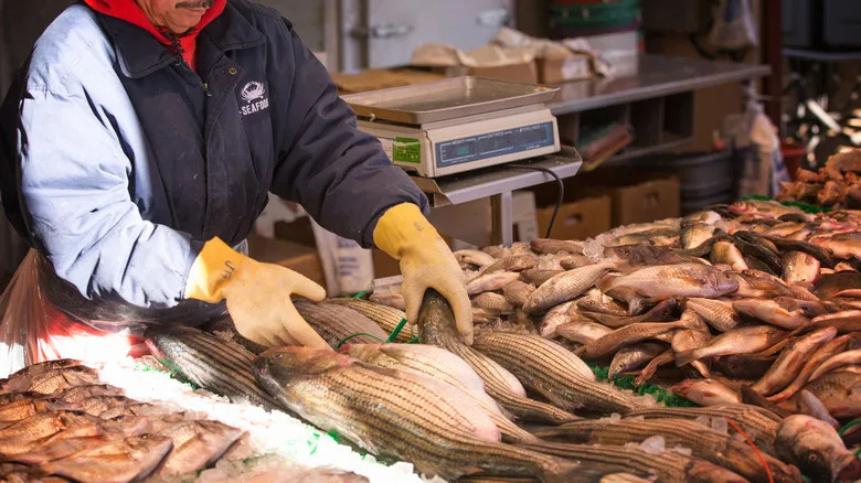 How to find Potomac seafood market best seafood buying guide inside